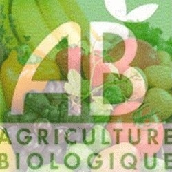 ALIMENTATION BIO