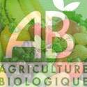 ALIMENTATION BIO