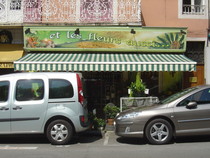 ET LES FLEURS AUSSI