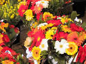 JARDINERIE - FLEURISTE