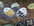 Snapshot_20100508.jpg