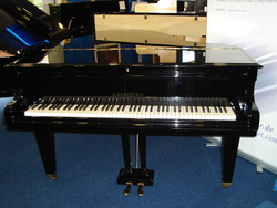 BECHSTEIN