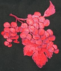 Raisin rouge