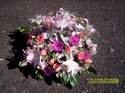 Fleurs D�c�s - Coussins