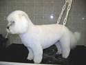 Le toilettage  baby