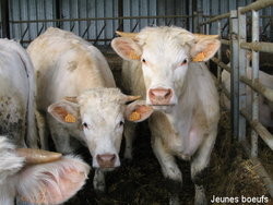 Livraison de produits fermiers : boeuf, porc, volaille - Le Panier de Johanna : vos produits fermiers en li - INTERMARCHE SEYSSINS