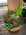 Fleurs D�c�s - Coupes - S�pulture - ISABELLE FLEURS