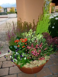 Fleurs D�c�s - Coupes - S�pulture - ISABELLE FLEURS