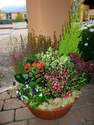 Fleurs D�c�s - Coupes