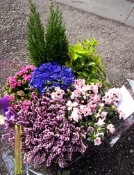 100_1791.JPG