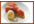 tatin.gif