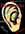 L'ACOUSTIQUE - ACOUSTIQUE - KRYS - Marc Legay