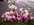 Fleurs D�c�s - Devant de cercueil - S�pulture - ISABELLE FLEURS