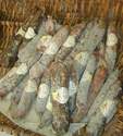 Les Saucissons Sec de la Boucherie Charcuterie Gilibert