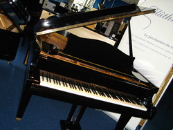 BECHSTEIN