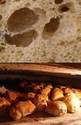 Le pain : des fermentations qui en font toute la richesse !