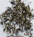 THES VERT BIO - nature et aromatis�s