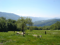 DSC01989.JPG