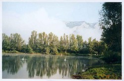 PESCADOU - ACTUALITE INFO - AVENIR PECHE 38