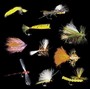BARQUE DE PECHE ARMOR - MOUCHE - AVENIR PECHE