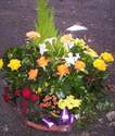 Fleurs D�c�s - Coupes