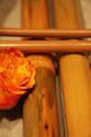  Les Massages Relaxants -A offrir et � s'offir pour No�l