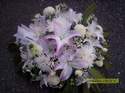 Fleurs D�c�s - Coussins