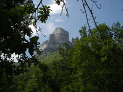 cournouse+ P2.jpg