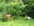 jardin1.jpg