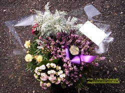 100_1792.JPG