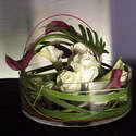 COUPE VERRE TRANSPARENCE