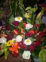 Compositions modernes lin�aires - Bouquets ronds - Compositions - Plantes vertes et  - ISABELLE FLEURS