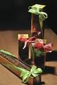 Les �tuis � mini moscos - Chocolats et confiseries de Zugmeyer� - CHOCOLATS ZUGMEYER - Chocolatier