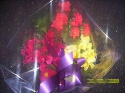 anniversaire aurelie martin 032009 040.jpg