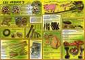 friandise pour chien, chat