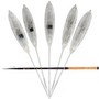 BARQUE DE PECHE ARMOR - BOMBETTE - AVENIR PECHE