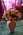 Fleurs D�c�s - Toussaint - S�pulture - ISABELLE FLEURS
