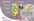 Freshball Robby Wash2.JPG