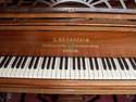 Piano queue occasion Bechstein - Notre s�lection pianos occasion:Yamaha,Sauter,Bechstein,etc. - ART & PIANO - Patrick BLERIOT