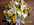 Fleurs D�c�s - Coussins - S�pulture - ISABELLE FLEURS