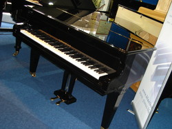 BECHSTEIN