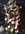 Fleurs D�c�s - Dessus de cercueil - S�pulture - ISABELLE FLEURS