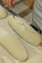 Le coup de lame avant la mise au four, geste professionnel du boulanger