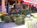 F�te : Toussaint