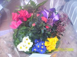 anniversaire aurelie martin 032009 045.jpg