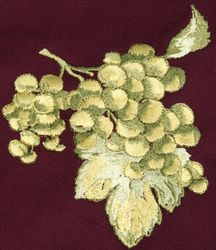 Raisin vert