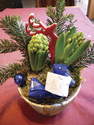 Fleurs Noel - Jacinthes - Evenements - f�tes - ISABELLE FLEURS