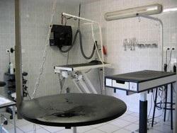 L'histoire du salon de toilettage � Pontcharra - Le Salon - PASSION CANINE