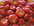  INVOLTINI DE SPECK