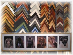 Atelier sur Mesure - Boutique d'encadrement d'art � Grenoble